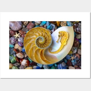 Nautilus And Seahorse On Colored Stones Posters and Art